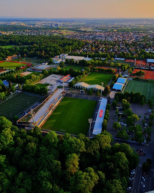 而湖人需要 而湖人需要